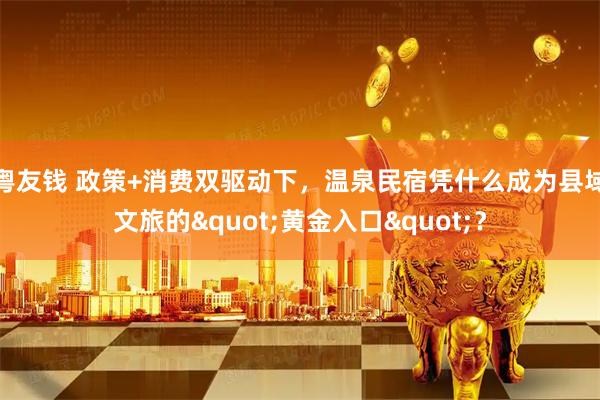 粤友钱 政策+消费双驱动下，温泉民宿凭什么成为县域文旅的"黄金入口"？