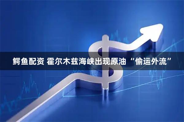 鳄鱼配资 霍尔木兹海峡出现原油 “偷运外流”