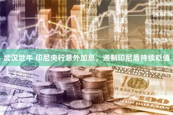武汉世牛 印尼央行意外加息，遏制印尼盾持续贬值